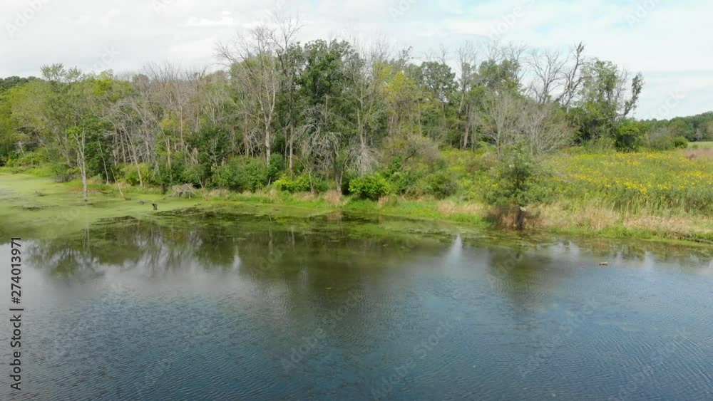 low drone flight over a lake toward treeline 4k birds eye pov low drone flight over a lake toward treeline 4k birds eye pov