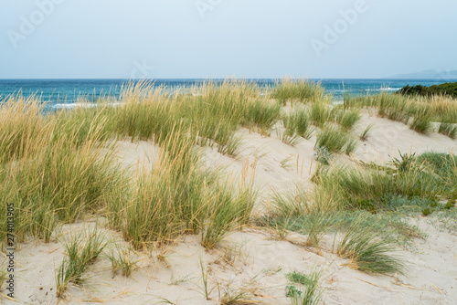 Sand dunes on the beach