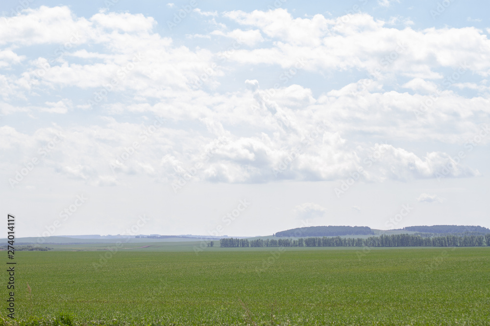 Fototapeta premium clouds in the sky over the green field