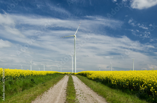 WIND POWER PLANT - A dirt road among the cultivation of rape for the farm turbines