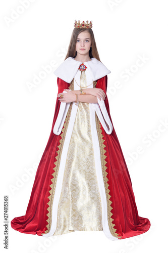 Happy little girl in carnival costume posing isolated