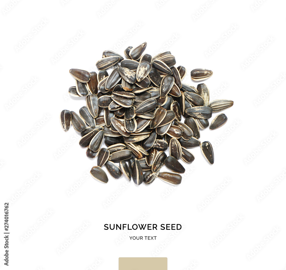 Creative layout made of sunflower seeds on white background.Flat lay. Food concept. Creative layout made of sunflower seeds on white background.Flat lay. Food concept.