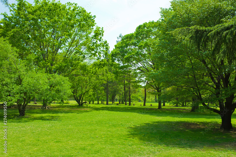 Green park Green park