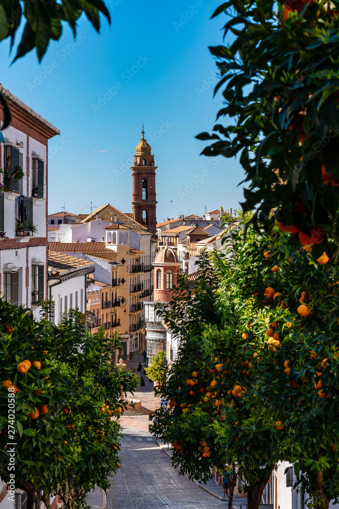 Obraz premium San Sebastian church tower in Antequera, Malaga Province, Andalusia, Spain
