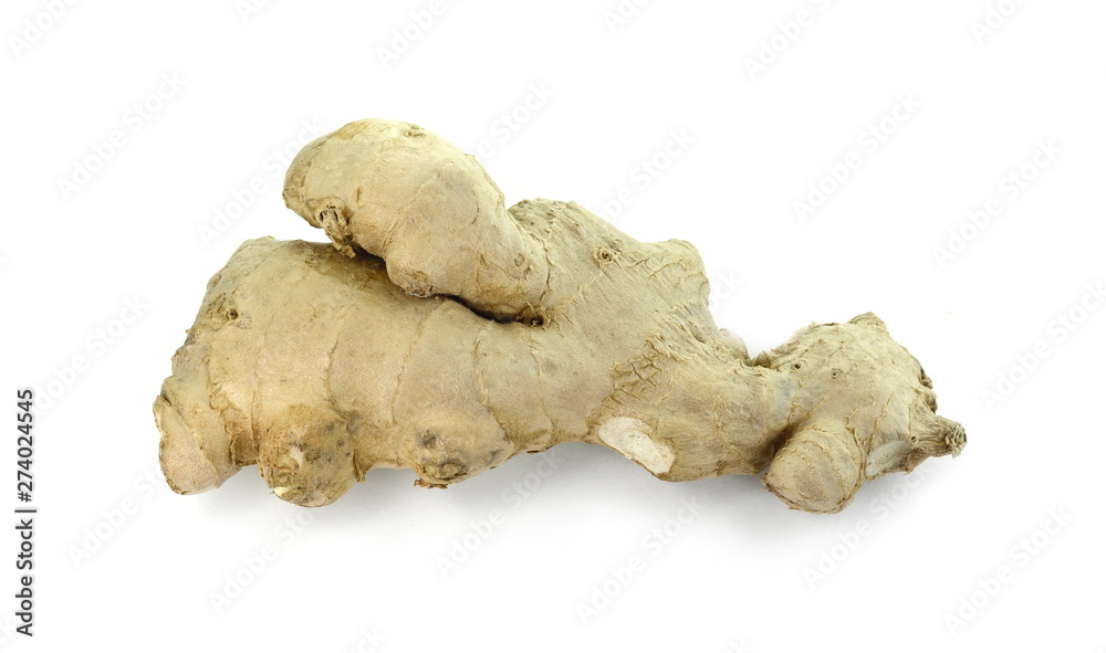 Fresh ginger on white background, herb medical concept - Image. Raw ginger root . Raw ginger root isolate on white background. Ginger root originated as ground flora of tropical lowland forests. Fresh ginger on white background, herb medical concept - Image. Raw ginger root . Raw ginger root isolate on white background. Ginger root originated as ground flora of tropical lowland forests.