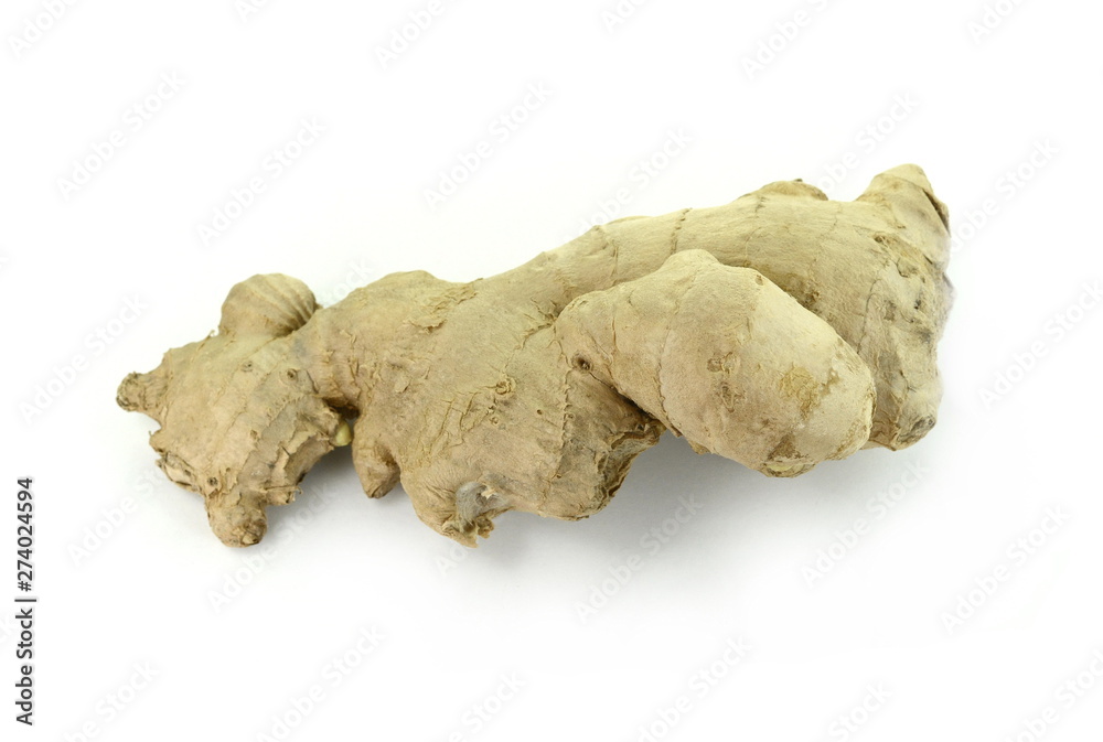 Fresh ginger on white background, herb medical concept - Image. Raw ginger root . Raw ginger root isolate on white background. Ginger root originated as ground flora of tropical lowland forests. Fresh ginger on white background, herb medical concept - Image. Raw ginger root . Raw ginger root isolate on white background. Ginger root originated as ground flora of tropical lowland forests.