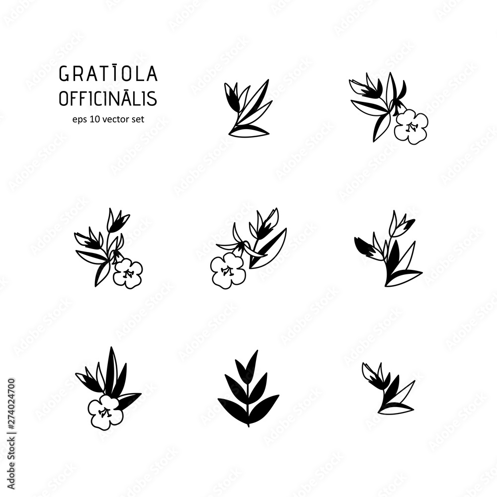Gratiola - vector icons set.