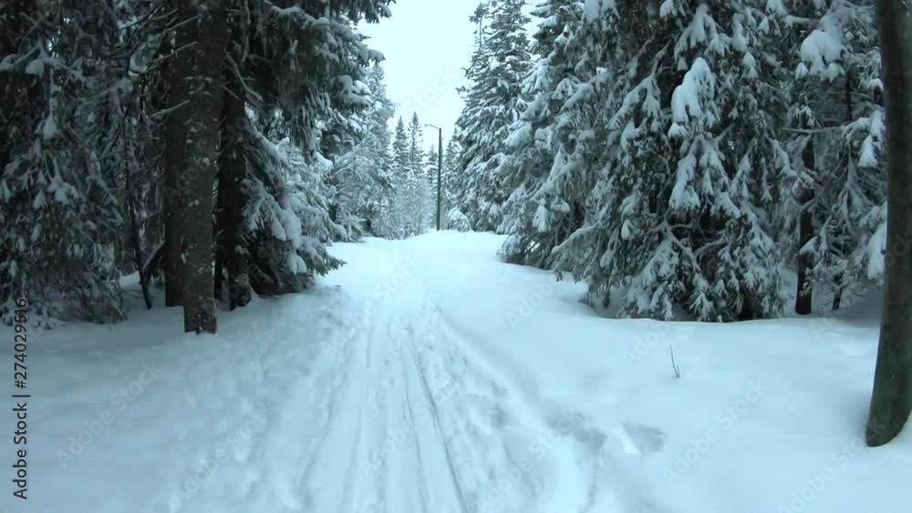 Intense time lapse snow walk Intense time lapse snow walk