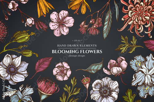Floral design on dark background with japanese chrysanthemum, blackberry lily, eucalyptus flower, anemone, iris japonica, sakura