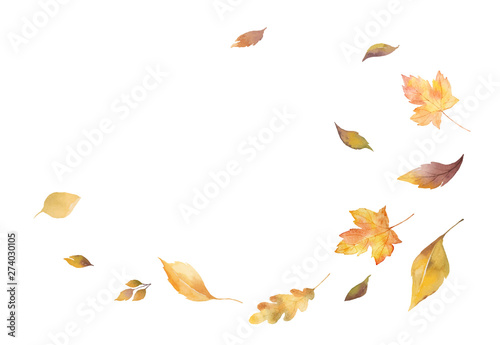Watercolor vector card with autumn leaves and branches isolated on white background.