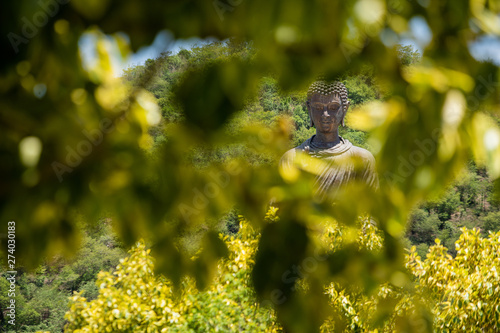 thai Buddha image in forest