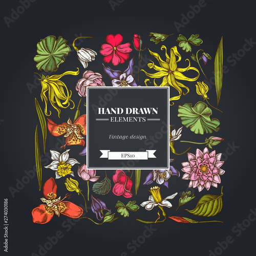 Square floral design on dark background with ylang-ylang, impatiens, daffodil, tigridia, lotus, aquilegia