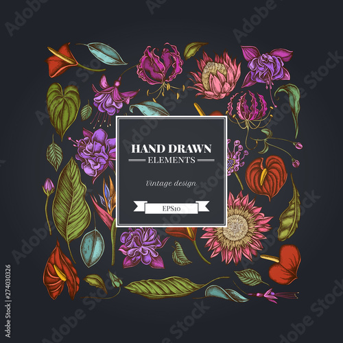 Square floral design on dark background with african daisies, fuchsia, gloriosa, king protea, anthurium, strelitzia