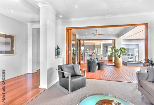 Luxury house design including furnitures