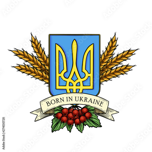 Hand drawn color sketch, Ukrainian national emblem, spikes of wheat, branch of viburnum