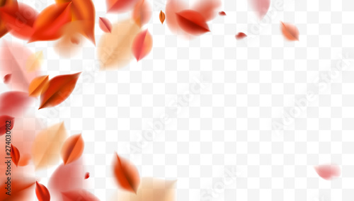 Fall blurred flying red leaves, autumn nature vector design elements for photo decoration
