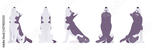 Husky dog howling. Northern sled, medium size compact Siberian breed, cute family companion for active fun and home security. Vector flat style cartoon illustration, white background, different views
