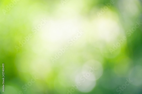 Blurred soft summer green background with bokeh effect.