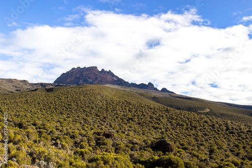 Kilimanjaro national park landscape © azamotkin