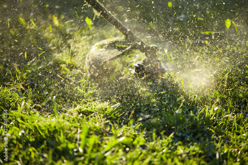 mow the grass trimmer. the process of mowing the grass with a trimmer close-up. selective focus on uncut Tawa and scatter particles of cut grass.