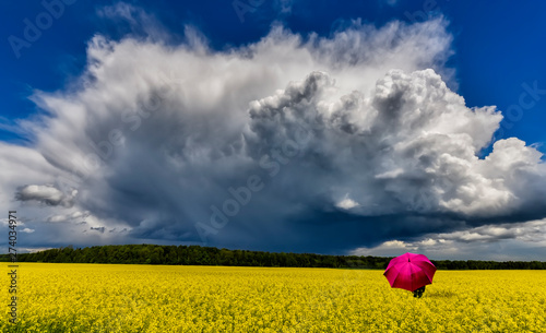 Blossoming rapeseed field, concept of European agriculte targeted at biofuel production photo