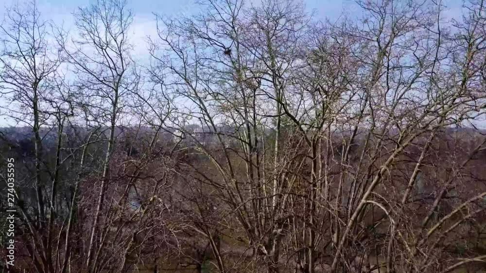Aerial drone pedestal up reveal shot from behind the autumn trees revealing the old heritage buildings and river in the city of Vichy, Allier, Auvergne France Aerial drone pedestal up reveal shot from behind the autumn trees revealing the old heritage buildings and river in the city of Vichy, Allier, Auvergne France