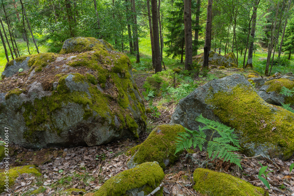 huge stones in scandinavian woods