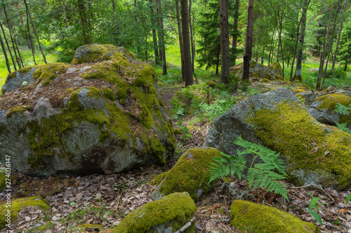 huge stones in scandinavian woods