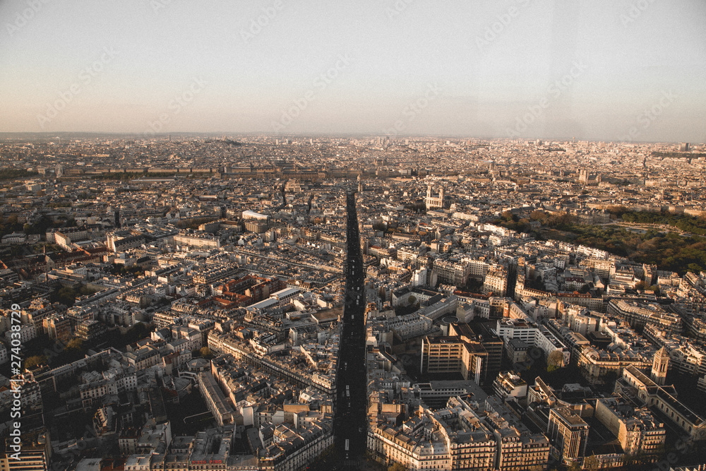 Paris from above