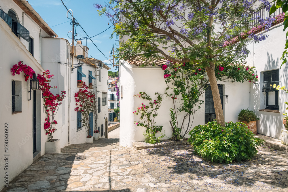 Fototapeta premium sunny view of typical mediterranean spanish village