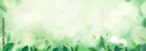 Park nature with sun light wide abstract background with spring green leaves vector illustration