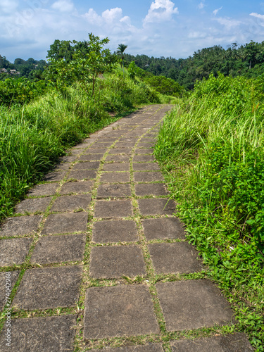 Trail artists. Bali island.