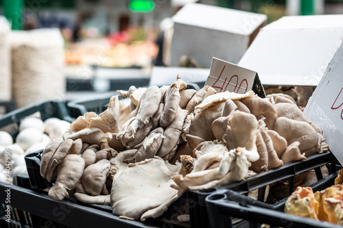 Pile of mushrooms in black boxes ready for sale on the marketplace in Belgrade.