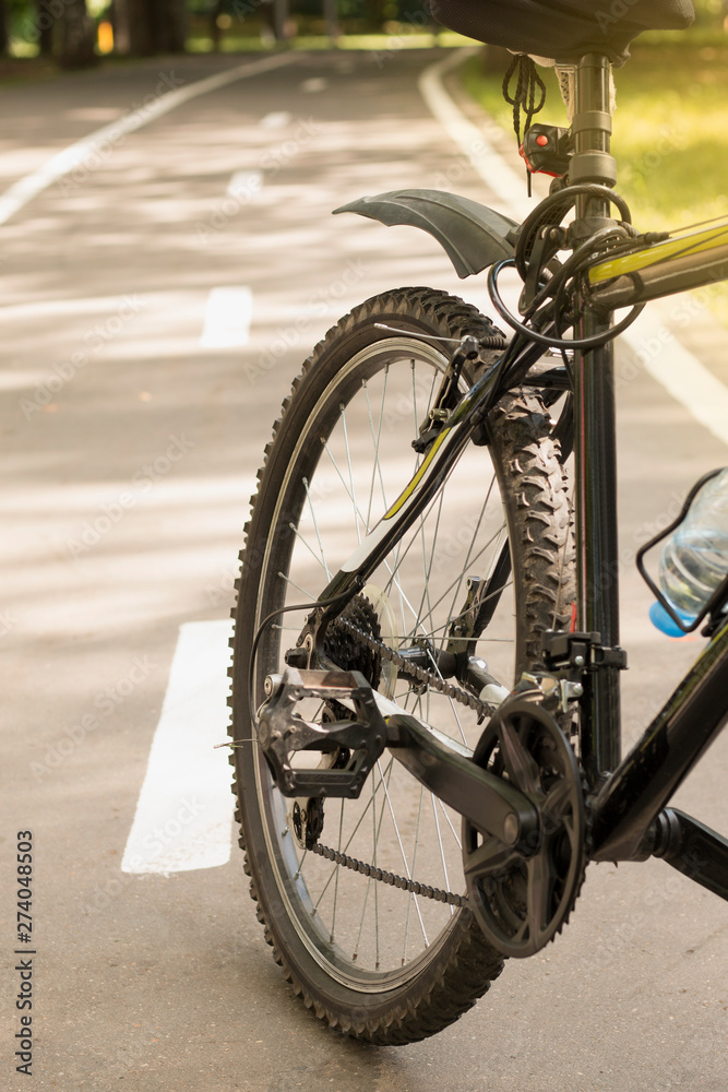 Cropped shot of Bicycle on a Bike Lane in the sunny park. Travel concept, sport and tourism. Bokeh background Cropped shot of Bicycle on a Bike Lane in the sunny park. Travel concept, sport and tourism. Bokeh background