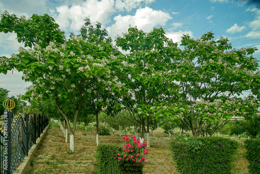 Naklejka premium Уголок города