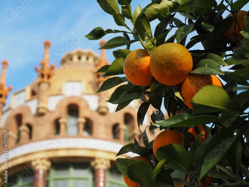 サン・パウ病院