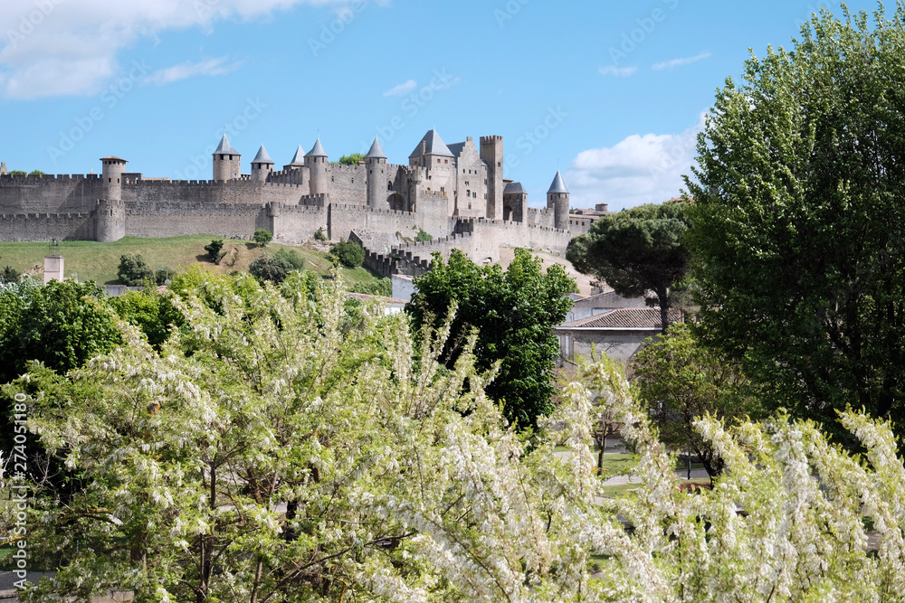 The medieval castle of Carcassonne in the south of France in the summer