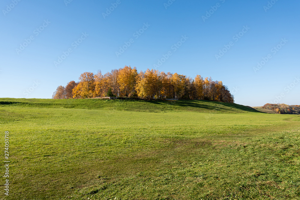 Panorama. Beautiful autumn trees. Autumn landscape