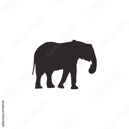 Big Elephant isolated on white background. Vector illustration, animal silhouette.