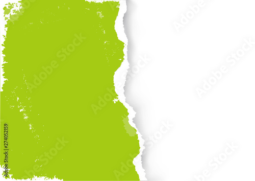 Green Ripped paper grunge background. llustration of green ripped paper. Place for your image or text. Vector available.