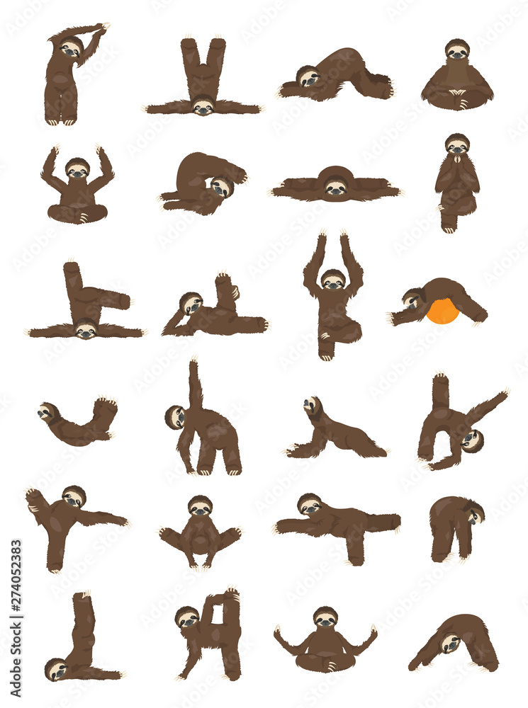 Sloth yoga collection. Funny cartoon animals in different postures set