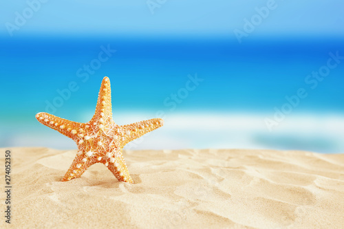 holidays. sand beach and starfish in front of summer sea background with copy space