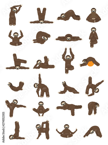 Sloth yoga collection. Funny cartoon animals in different postures set