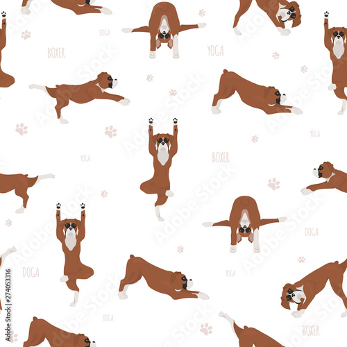 Yoga dogs poses and exercises. Boxer dog seamless pattern