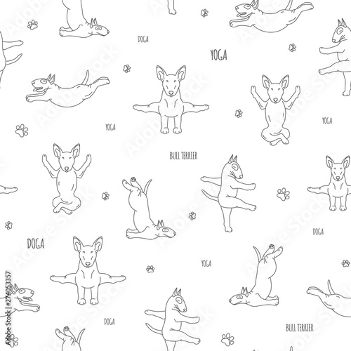 Yoga dogs poses and exercises. Bull terrier seamless pattern