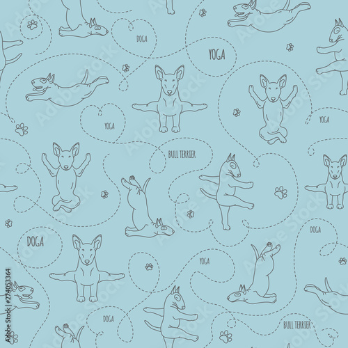 Yoga dogs poses and exercises. Bull terrier seamless pattern
