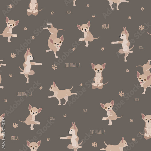 Yoga dogs poses and exercises. Chihuahua seamless pattern photo