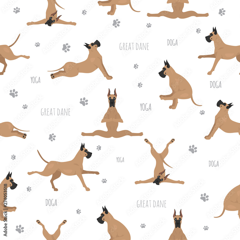 Obraz premium Yoga dogs poses and exercises. Great dane seamless pattern