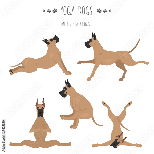 Yoga dogs poses and exercises. Great dane clipart