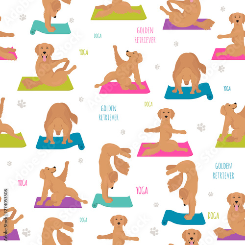 Yoga dogs poses and exercises. Golden retriever seamless pattern